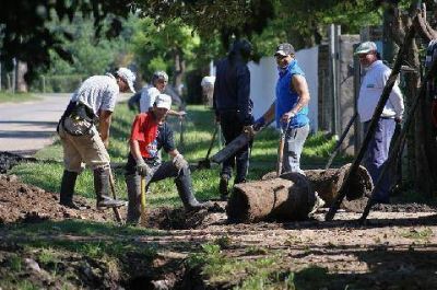 Trabajos de saneamiento y limpieza en barrios de Luj�n