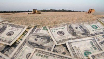 Aparecen los d�lares de la soja: exportadores liquidar�n u$s 5.700 millones hasta fin de a�o