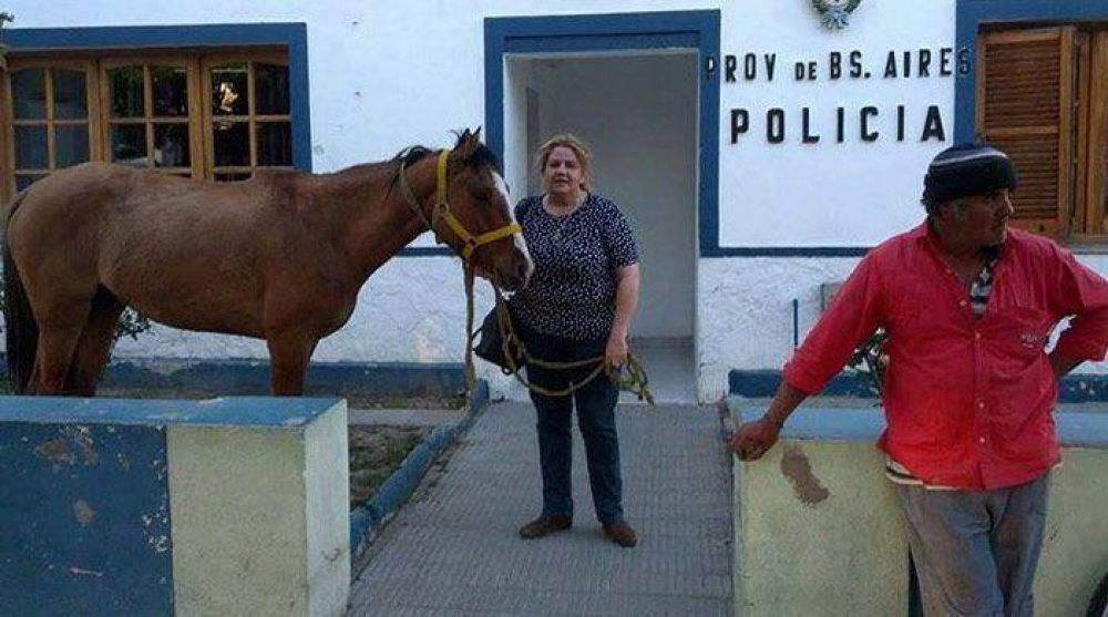 Villa Mitre: vecinos rescatan una yegua del azote de su due�o