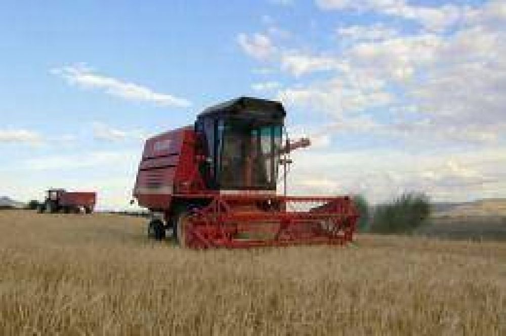 Las cerealeras liquidarn unos US$ 5.700 millones en el ltimo trimestre