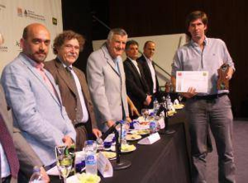 San Juan gan� m�s premios que Espa�a, la cuna del oliva