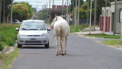 Alguna vez iba a pasar: Dos mujeres heridas al ser embestidas por un caballo