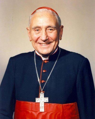 Podr�an convertir en beato a un Cardenal por la milagrosa curaci�n de un nene intoxicado con purpurina