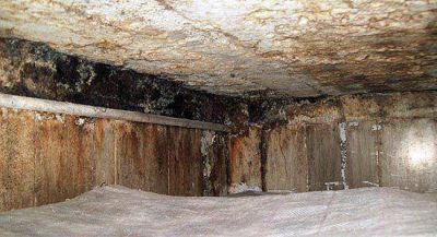 Detectan tres panader�as con problemas sanitarios