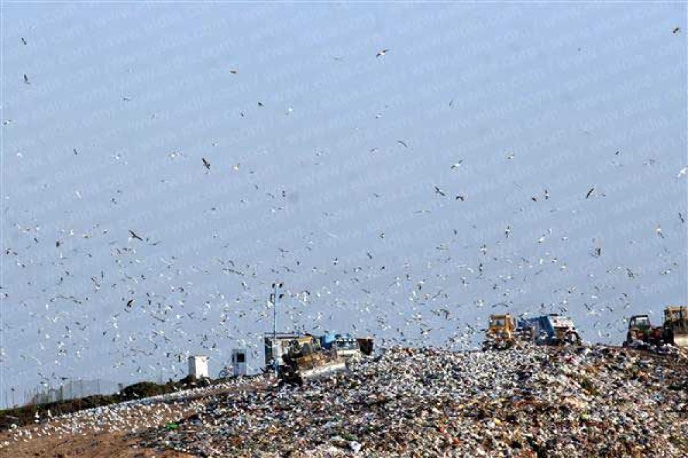 Otorgan m�s plazo para definir qu� se va a hacer con la basura     