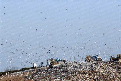 Otorgan m�s plazo para definir qu� se va a hacer con la basura     