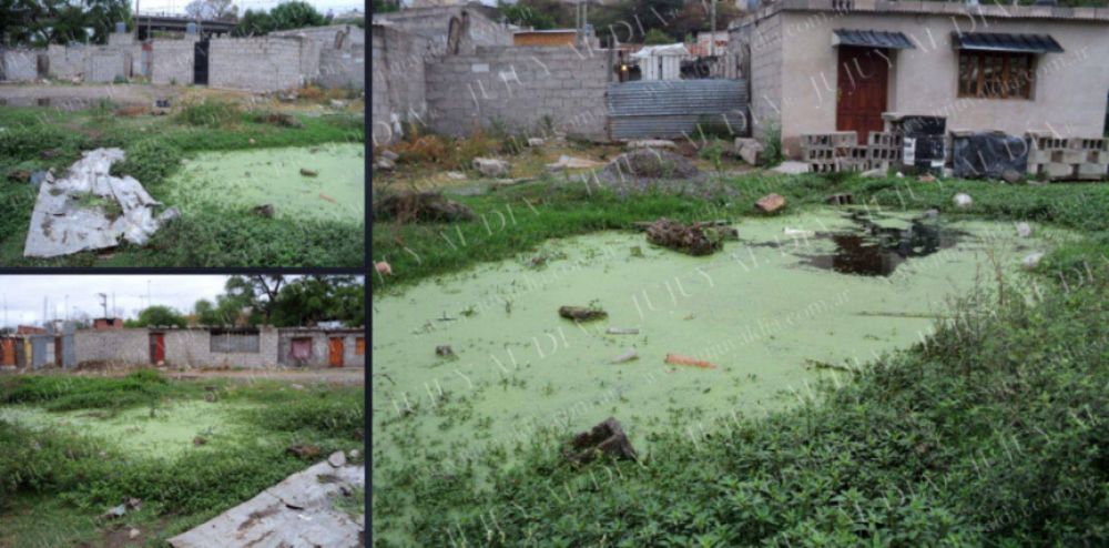 Alerta sanitaria: vecinos de barrio Belgrano conviven a diario a metros de una laguna de aguas servidas