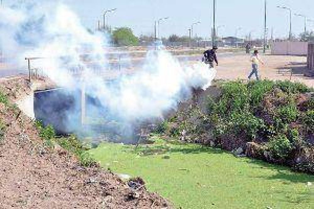 Debido a la proliferaci�n de insectos contin�a la fumigaci�n en barrios