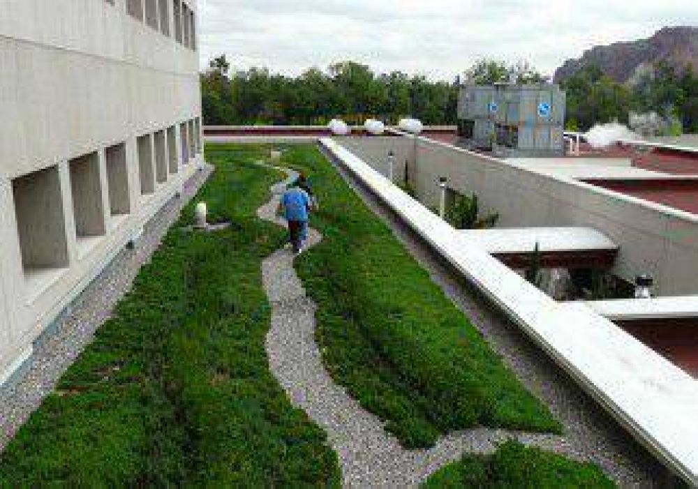 Ya rige la norma de techos verdes en los edificios neuquinos 
