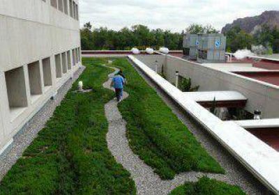 Ya rige la norma de techos verdes en los edificios neuquinos 
