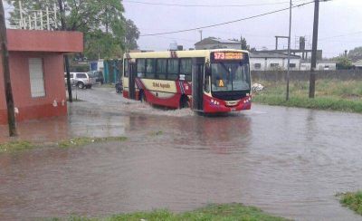 Tormenta: llovieron 30 mil�metros y hubo 13 llamados por ca�da de �rboles