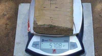 Este a�o se secuestraron casi 28 kilos de marihuana