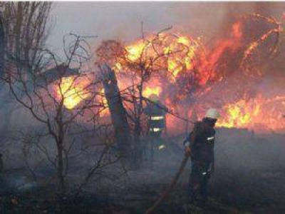 Murieron cuatro brigadistas al intentar sofocar un incendio