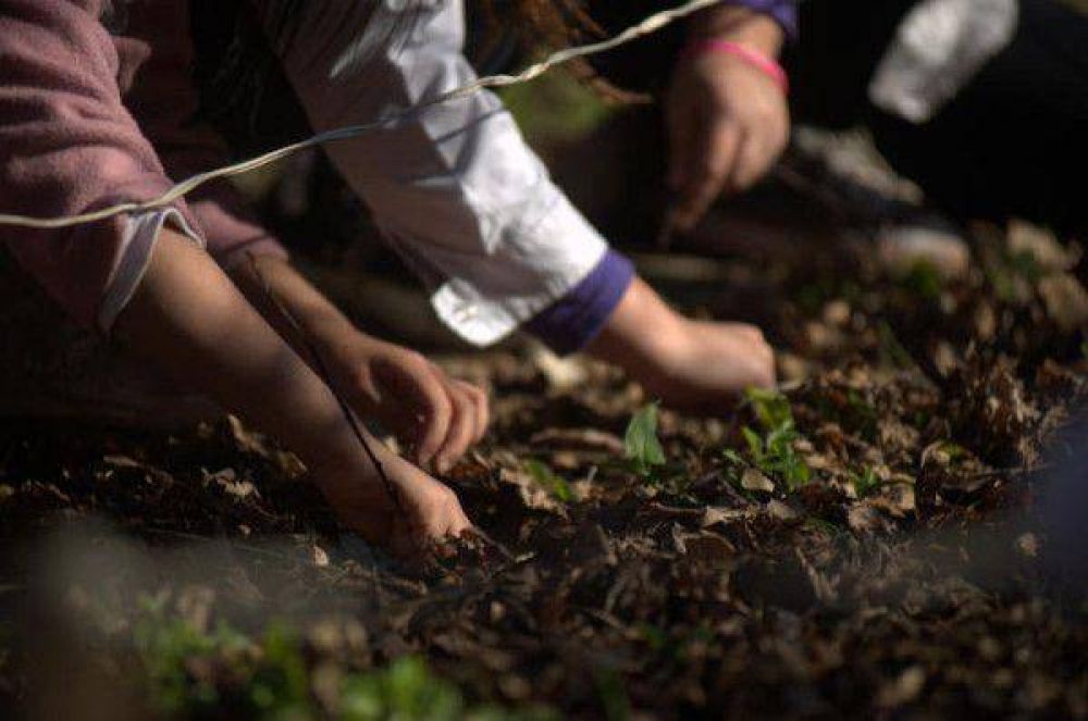 Escuelas Verdes porte�as recuperaron 674 toneladas de material reciclable  3 4