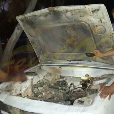 Tala ilegal de �rboles: Secuestran camioneta y motosierra
