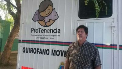 Montaron operativo y castraron 336 perros callejeros