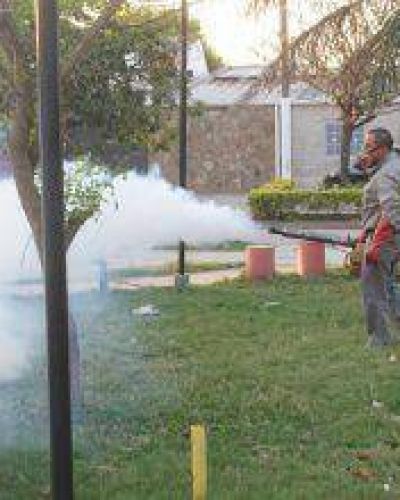 Brigadas contra el dengue
