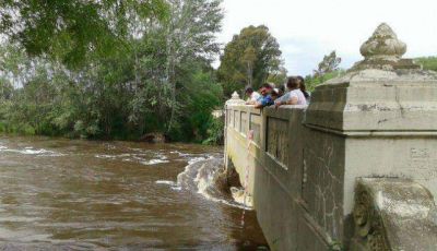 Cesa el alerta de inundaci�n para nuestra ciudad