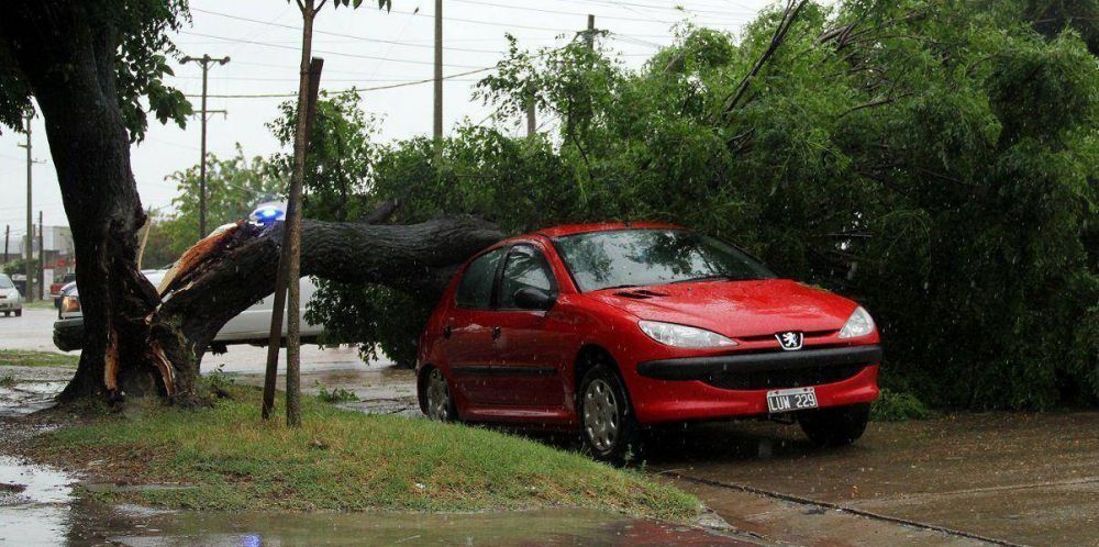 Cambiaron de lugar a la beb� justo antes de que un �rbol cayera sobre la parte trasera del auto