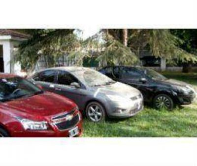 Desbaratan banda que delinqu�a en la regi�n  
