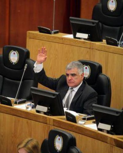 Se quejaron ante el PE y la C�mara, y frustraron una ley