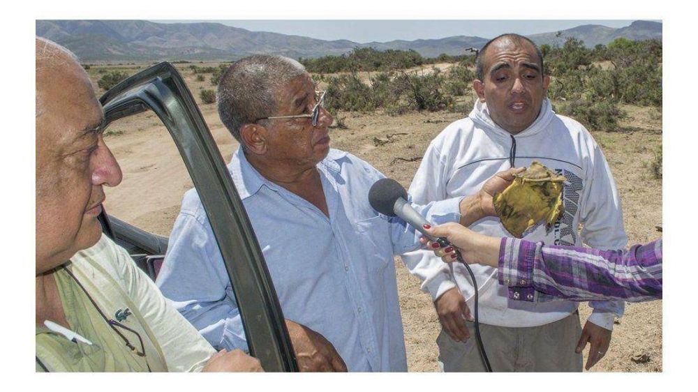 Ning�n funcionario habl� de responsabilidades o de dolo