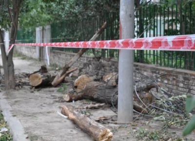 Fuertes vientos provocaron destrozos en la Villa de Merlo