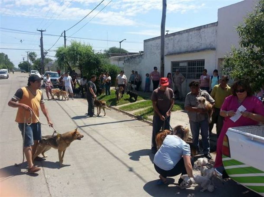 Se implementa la campa�a de vacunaci�n antirr�bica en la zona urbana