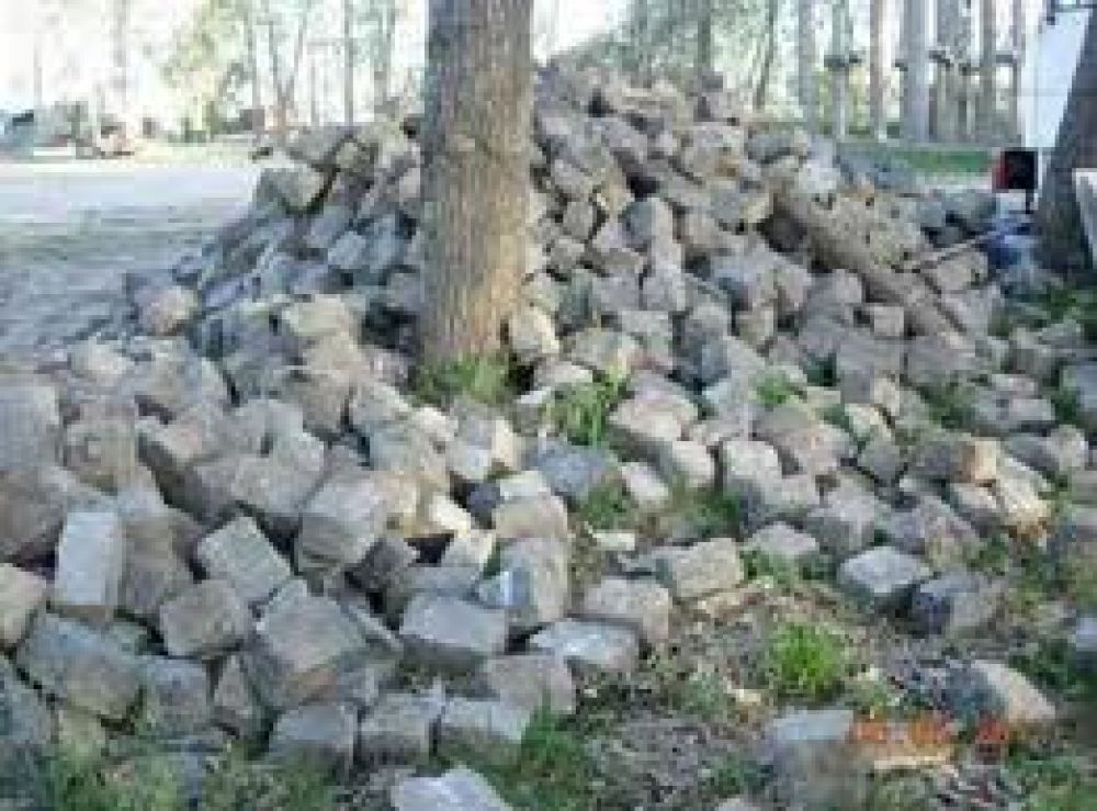 La Ciudad deber� proteger los adoquines