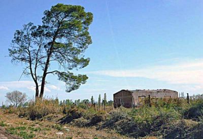 Gran cantidad de hect�reas productivas en venta