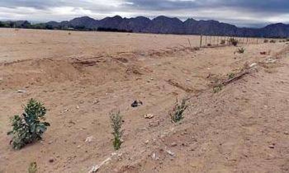 Empresario chilecite�o, la v�ctima 74 de los accidentes viales 0
