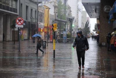 Calles anegadas y �rboles ca�dos, el resultado del intenso temporal que azota a Mar del Plata