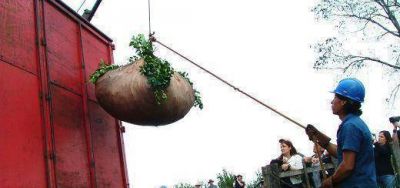 El INYM fomenta a productores a cosechar su propia yerba