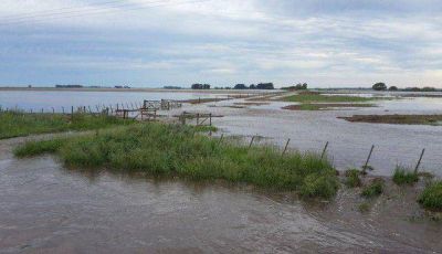 S�nchez: �la situaci�n no es f�cil� en los campos 