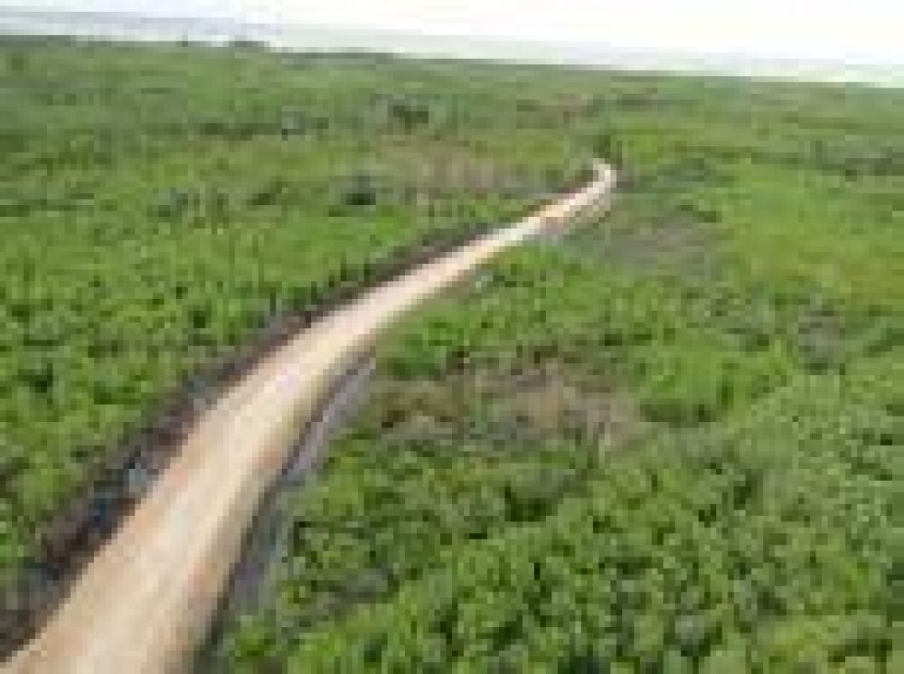 El Terrapl�n Costero contuvo la sudestada en Berisso