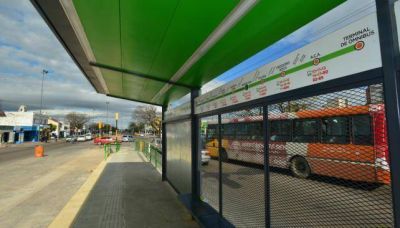 El S�lo Bus debuta con carteler�a en paradas