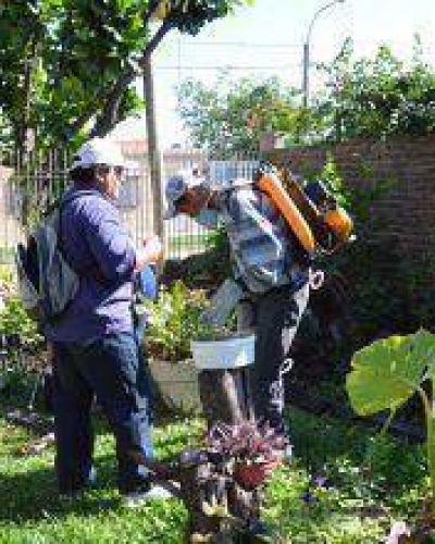 Dengue: En la �ltima semana las brigadas trabajaron en m�s de 1.800 domicilios
