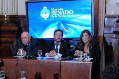 Mizawak expone en el Senado la experiencia del sistema procesal provincial