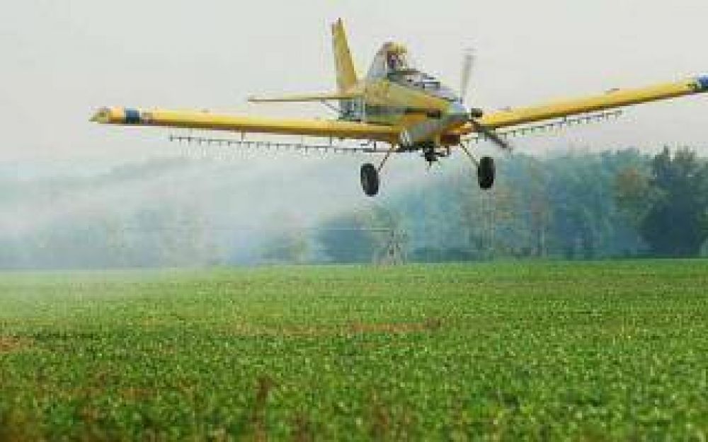 Ramallo: Productor dejar� de sembrar soja para no afectar a vecinos con agroqu�micos