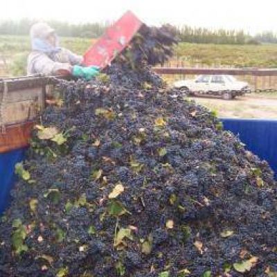 Naci�n declar� en emergencia agropecuaria a La Rioja