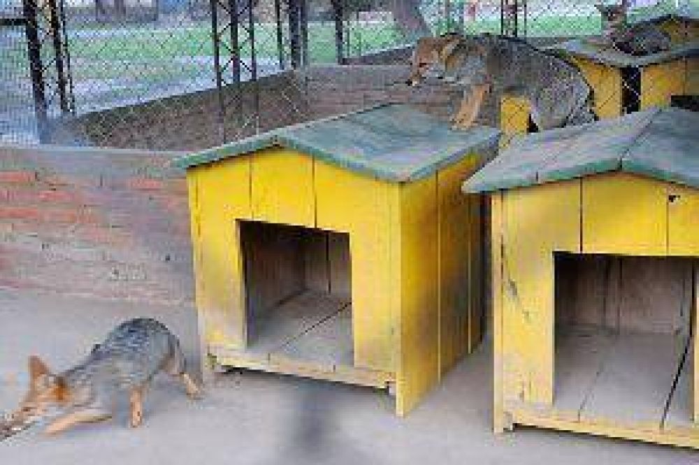 La comuna inform� que invierte en el Zoo hasta el traslado de los animales