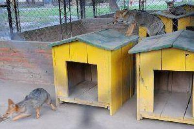 La comuna inform� que invierte en el Zoo hasta el traslado de los animales