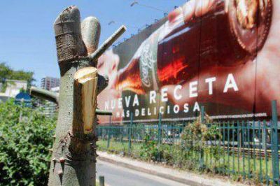 Talaron �rboles que tapaban un cartel de Coca Cola