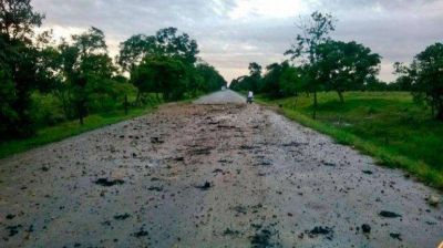 Colombia: guerrilleros de FARC dinamitaron un oleoducto y asesinaron a dos ind�genas