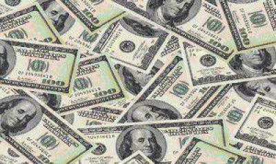Fuerte intervenci�n del BCRA hizo hundir al d�lar blue hasta $13,10