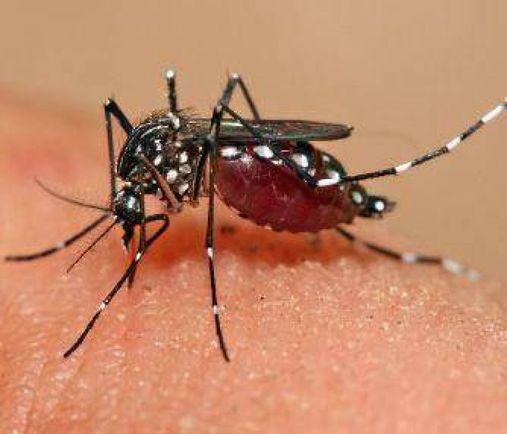 Prevenci�ndel dengue