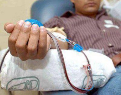 Hoy, es el d�a del Donante Voluntario de Sangre