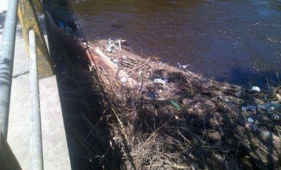 El r�o sigui� bajando y acumula ramas y basura