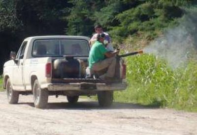 Ramanzini pide explicaciones por la falta de fumigaci�n de mosquitos