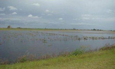Crean Consorcio Canalero para evitar inundaciones en el sudeste